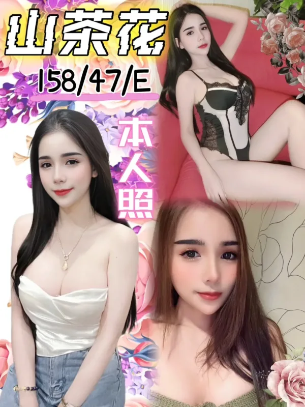 台中定點茶-山茶花 台中定點茶-山茶花