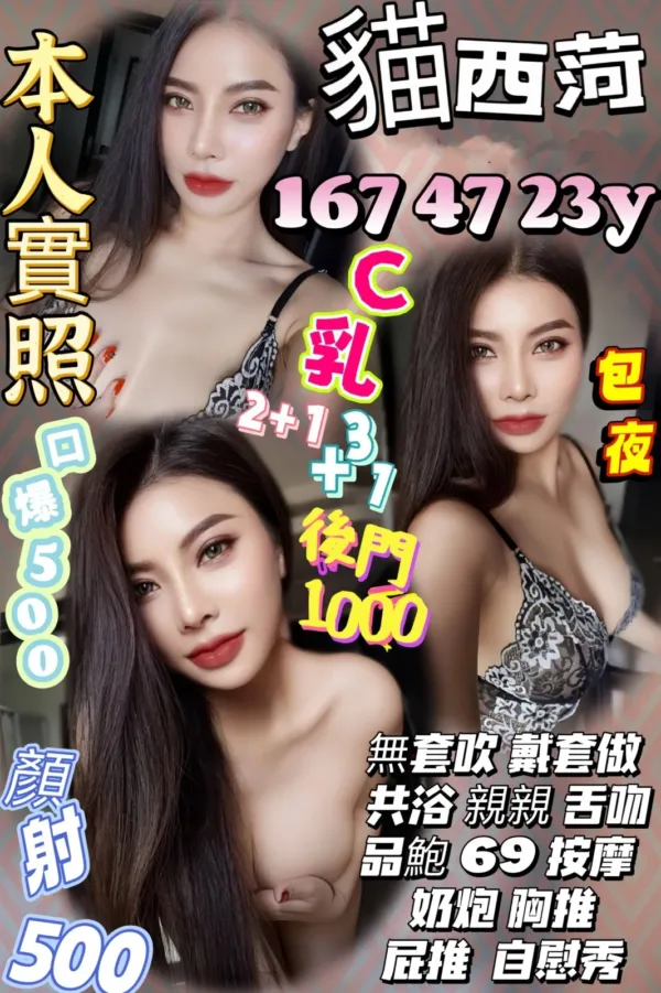 新竹定點茶-貓西菏 新竹定點茶-貓西菏