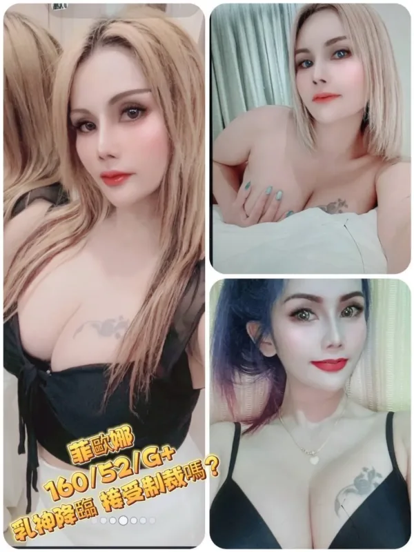 台北定點茶-菲歐娜