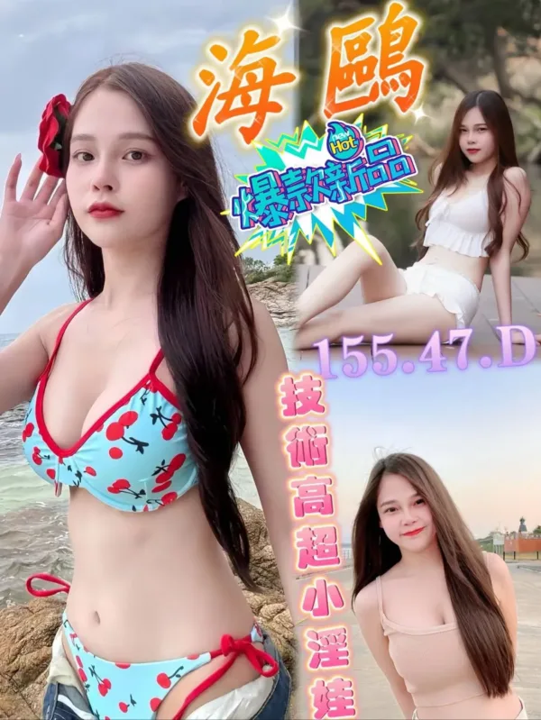 台南定點茶-海鷗