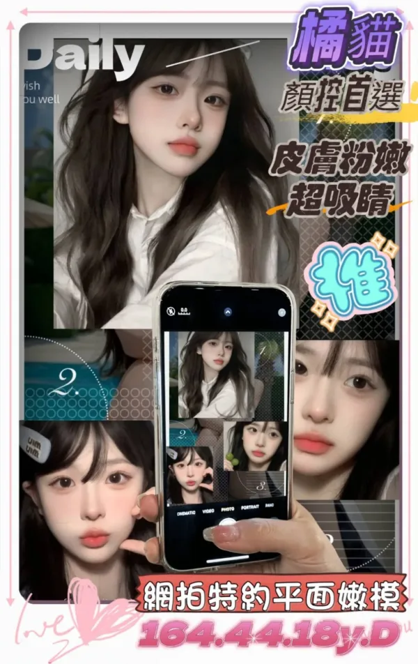 嘉義定點、外送茶-橘貓 嘉義定點、外送茶-橘貓